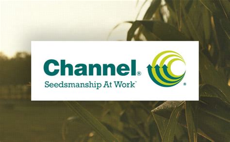 chanel seeds|channel seeds customer service.